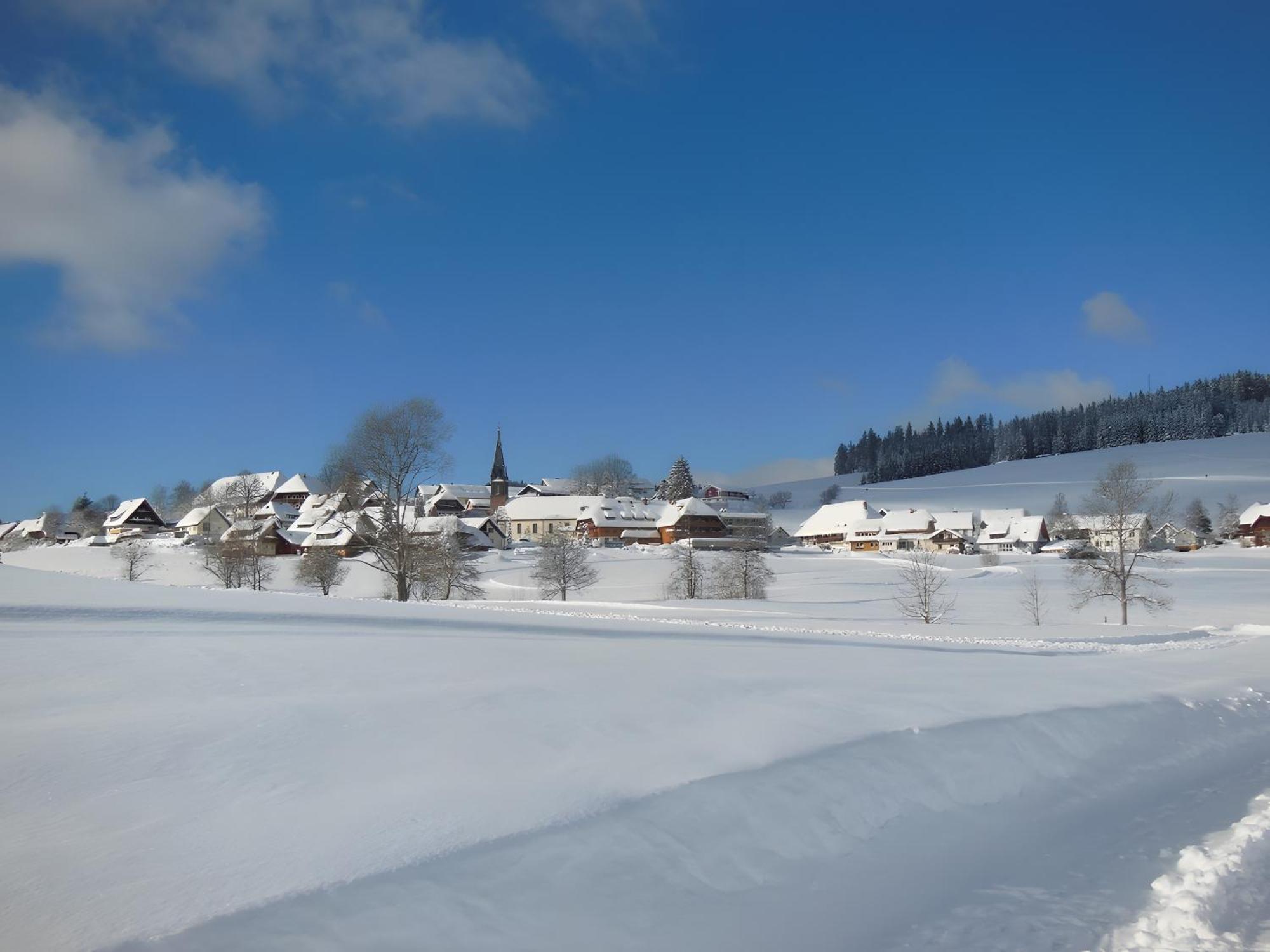 Ferienhaus Kaltenbach Titisee-Neustadt Exterior photo